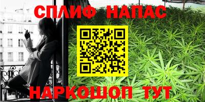 индика Бузулук