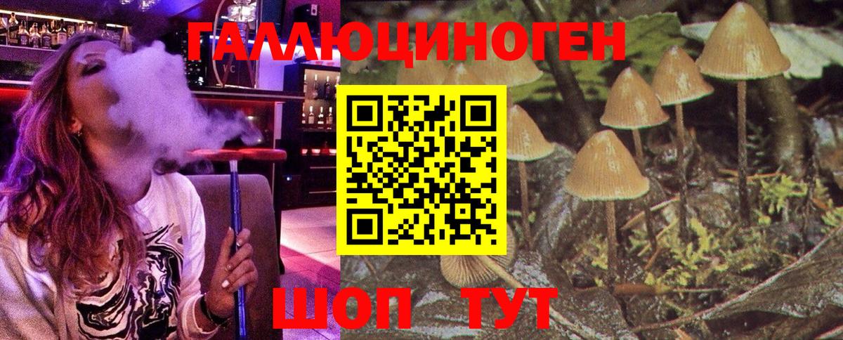 Псилоцибиновые грибы Psilocybine cubensis Чистополь